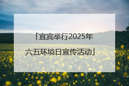 宜宾举行2025年六五环境日宣传活动