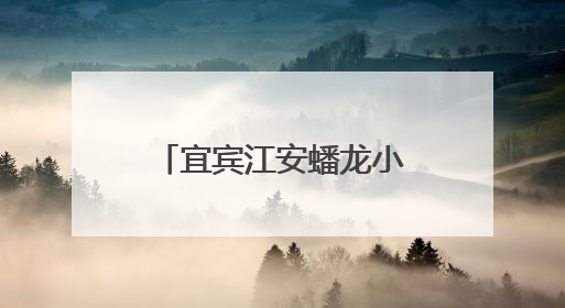 宜宾江安蟠龙小学开展防溺水演练暨签名活动，筑牢安全防线