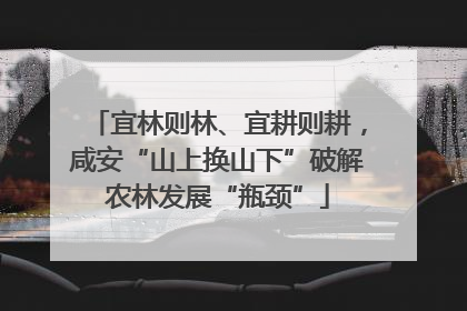 宜林则林、宜耕则耕，咸安“山上换山下”破解农林发展“瓶颈”