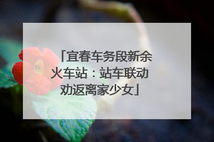 宜春车务段新余火车站：站车联动劝返离家少女