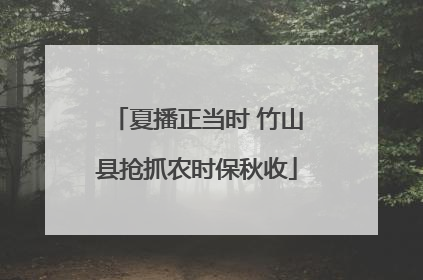 夏播正当时 竹山县抢抓农时保秋收