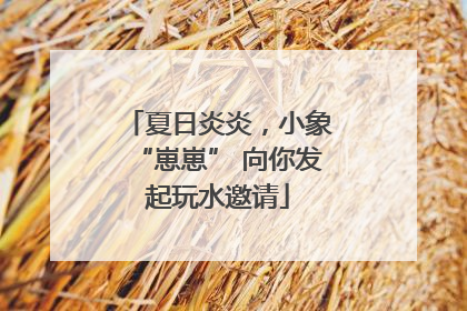 夏日炎炎，小象“崽崽” 向你发起玩水邀请