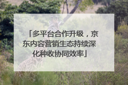 多平台合作升级，京东内容营销生态持续深化种收协同效率