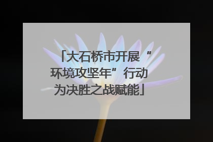大石桥市开展“环境攻坚年”行动为决胜之战赋能