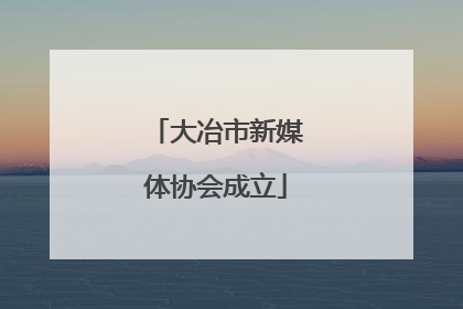 大冶市新媒体协会成立