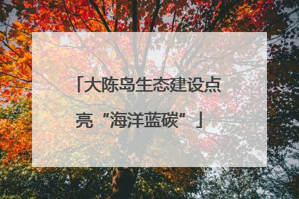 大陈岛生态建设点亮“海洋蓝碳”