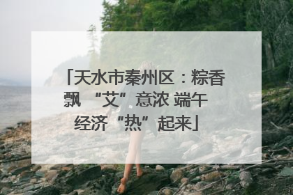 天水市秦州区：粽香飘 “艾”意浓 端午经济“热”起来