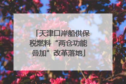 天津口岸船供保税燃料“两仓功能叠加”改革落地