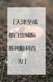 天津至成都白货城际班列顺利首发