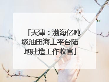 天津：渤海亿吨级油田海上平台陆地建造工作收官