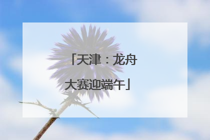 天津：龙舟大赛迎端午