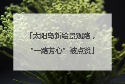 太阳岛新绘景观路，“一路芳心”被点赞