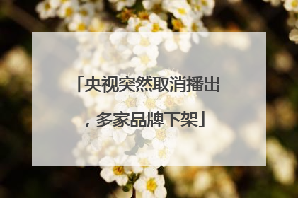 央视突然取消播出，多家品牌下架
