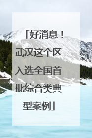 好消息！武汉这个区入选全国首批综合类典型案例