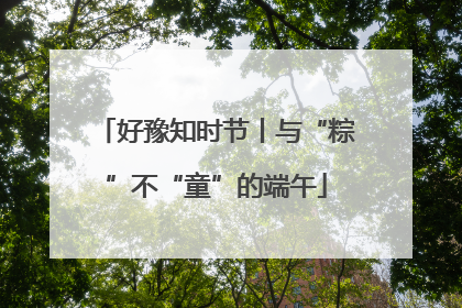好豫知时节丨与“粽”不“童”的端午