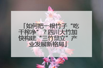 如何把一根竹子“吃干榨净”？四川大竹加快构建“三竹鼎立”产业发展新格局