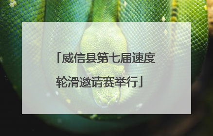 威信县第七届速度轮滑邀请赛举行
