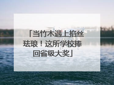 当竹木遇上掐丝珐琅！这所学校捧回省级大奖