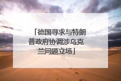 德国寻求与特朗普政府协调涉乌克兰问题立场