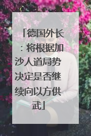 德国外长：将根据加沙人道局势决定是否继续向以方供武