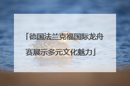 德国法兰克福国际龙舟赛展示多元文化魅力