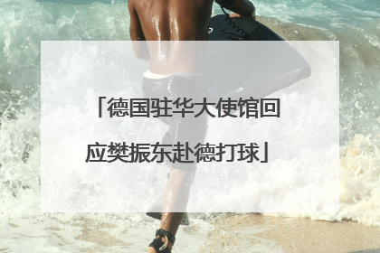 德国驻华大使馆回应樊振东赴德打球