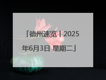 德州速览丨2025年6月3日 星期二