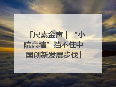 尺素金声｜“小院高墙”挡不住中国创新发展步伐