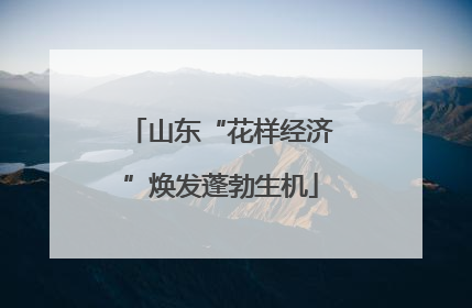 山东“花样经济”焕发蓬勃生机