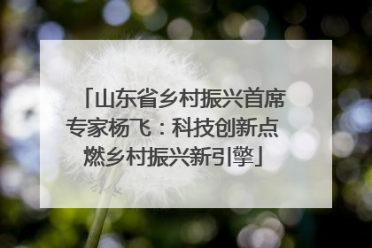 山东省乡村振兴首席专家杨飞：科技创新点燃乡村振兴新引擎