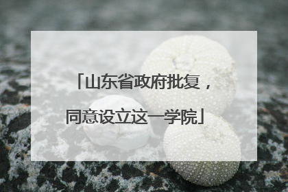 山东省政府批复，同意设立这一学院