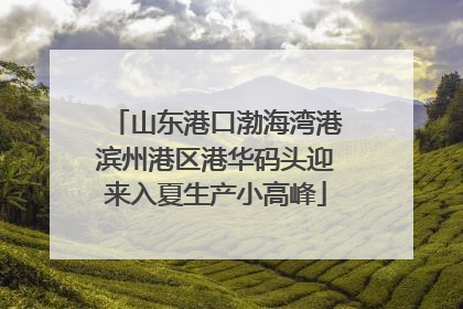 山东港口渤海湾港滨州港区港华码头迎来入夏生产小高峰