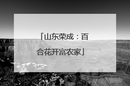 山东荣成：百合花开富农家