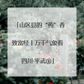 山区县的“药”香致富经丨万千气象看四川·平武③