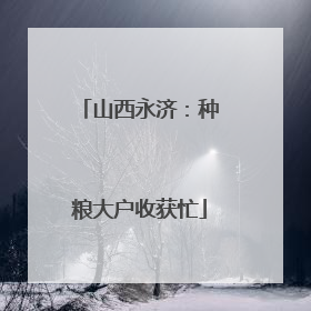 山西永济：种粮大户收获忙
