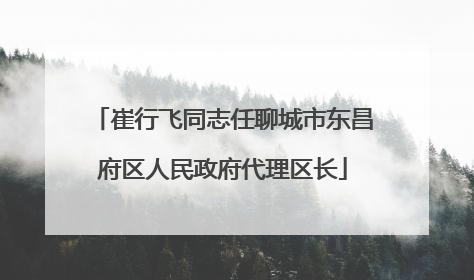 崔行飞同志任聊城市东昌府区人民政府代理区长