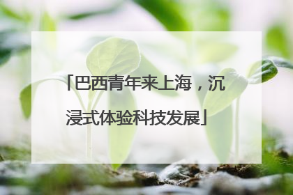 巴西青年来上海，沉浸式体验科技发展