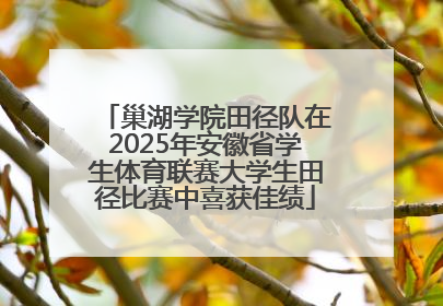 巢湖学院田径队在2025年安徽省学生体育联赛大学生田径比赛中喜获佳绩