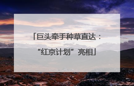 巨头牵手种草直达：“红京计划”亮相