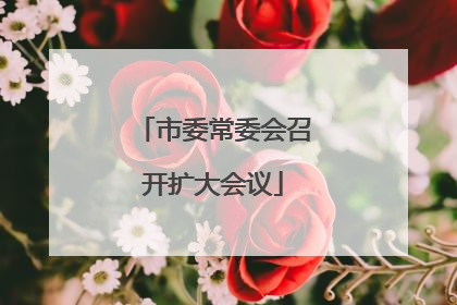 市委常委会召开扩大会议
