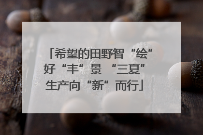 希望的田野智“绘”好“丰”景 “三夏”生产向“新”而行
