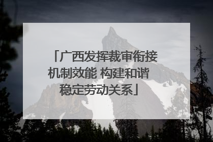 广西发挥裁审衔接机制效能 构建和谐稳定劳动关系