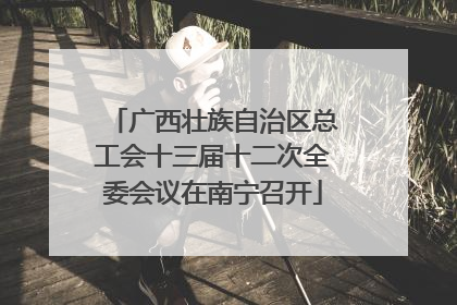 广西壮族自治区总工会十三届十二次全委会议在南宁召开