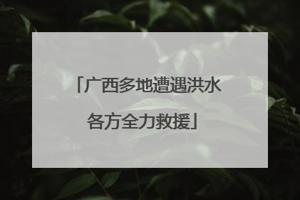 广西多地遭遇洪水 各方全力救援