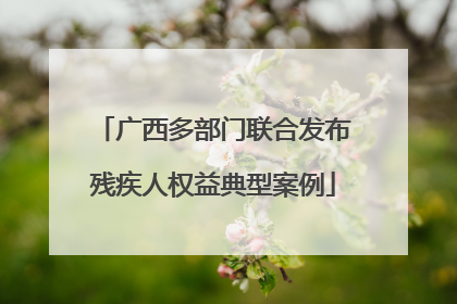 广西多部门联合发布残疾人权益典型案例