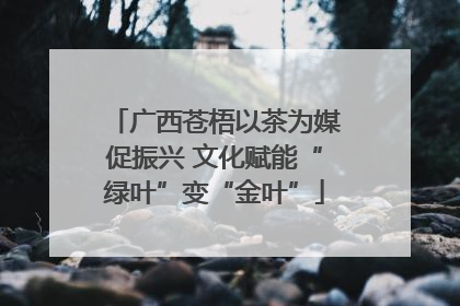 广西苍梧以茶为媒促振兴 文化赋能“绿叶”变“金叶”