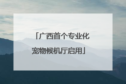 广西首个专业化宠物候机厅启用