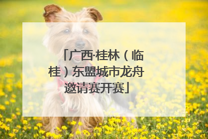 广西·桂林（临桂）东盟城市龙舟邀请赛开赛