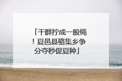 干群拧成一股绳！夏邑县骆集乡争分夺秒促夏种