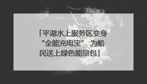 平湖水上服务区变身“全能充电宝” 为船民送上绿色能量包